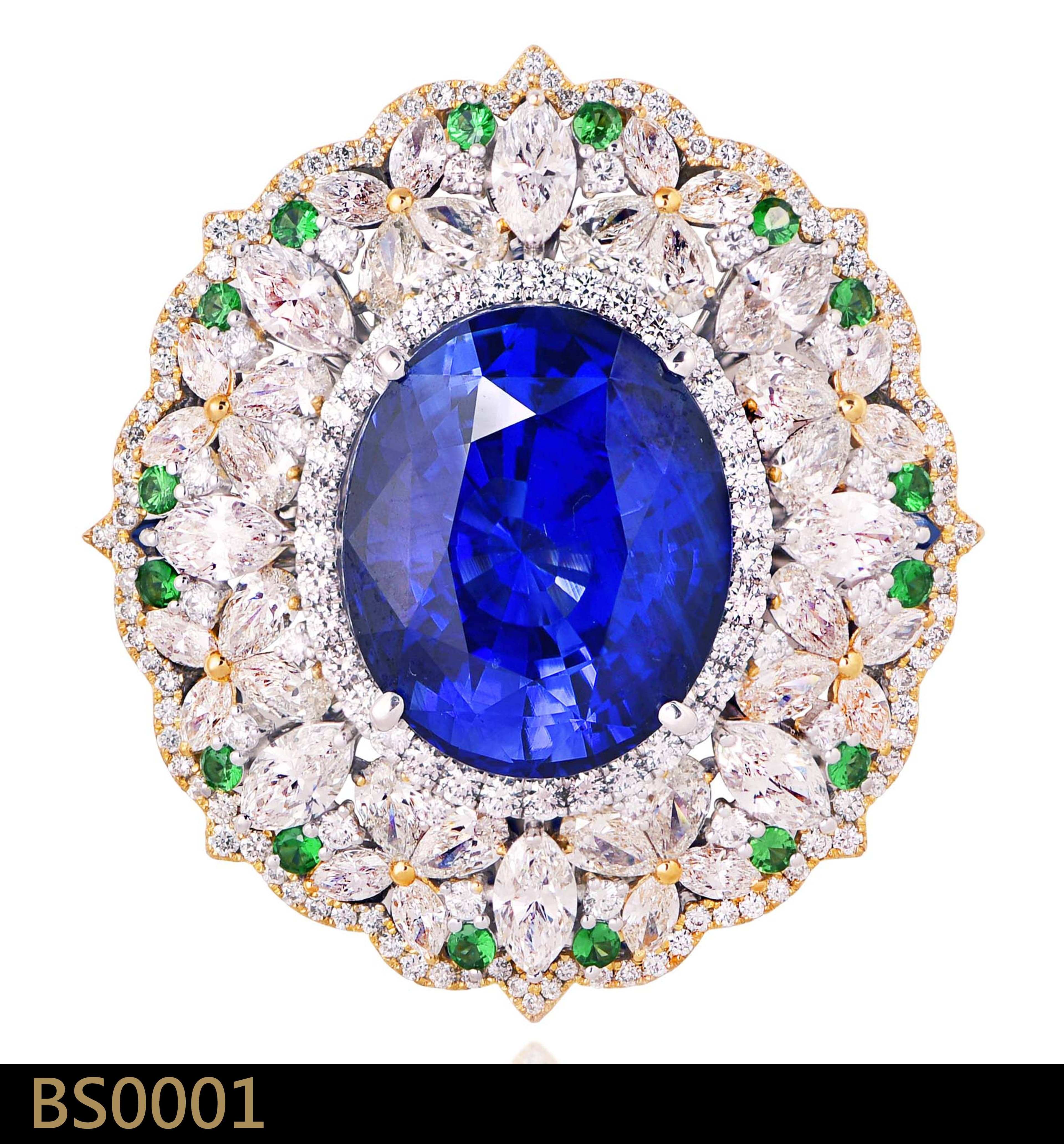 BS0001