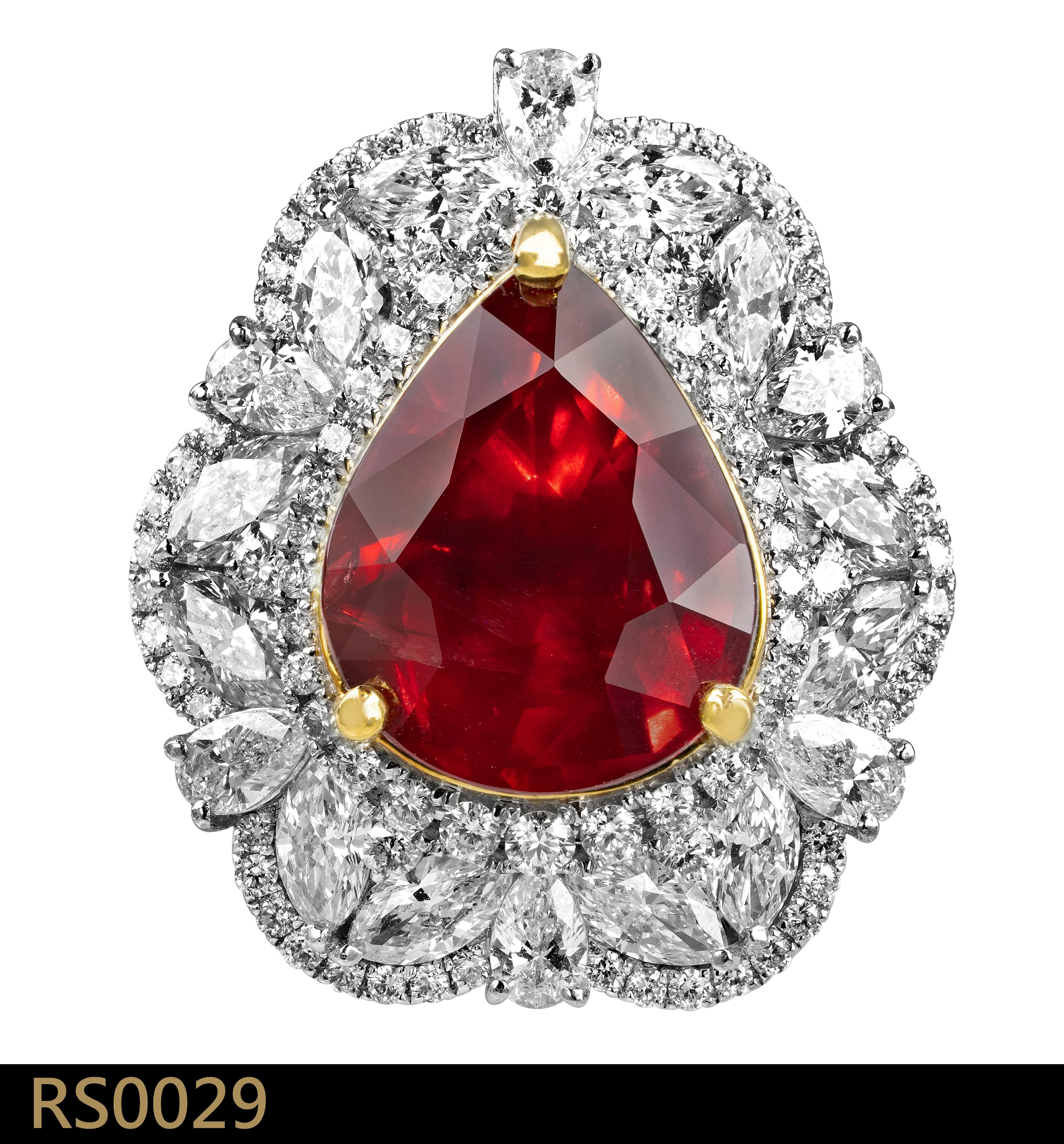 RS0029