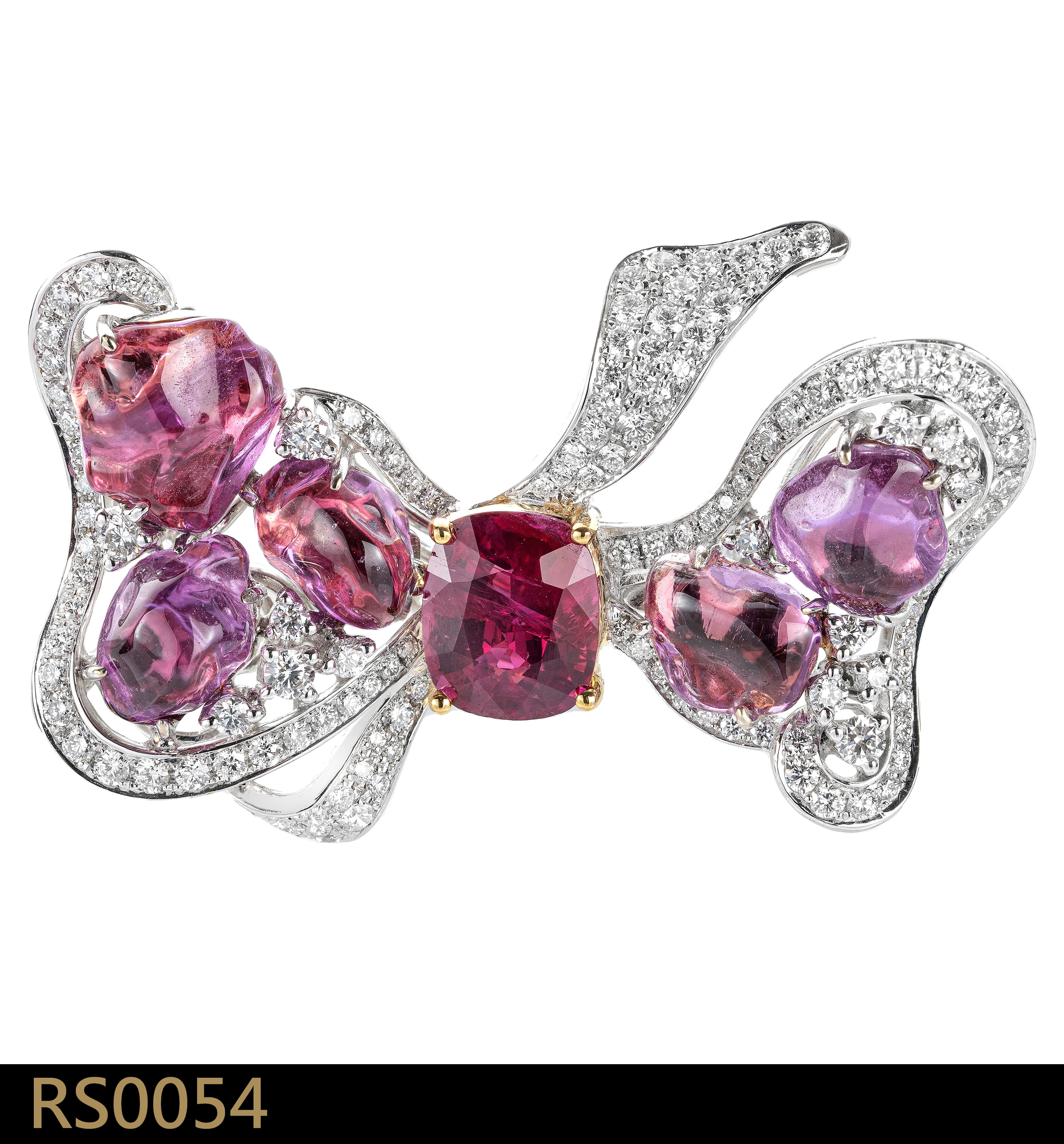 RS0054
