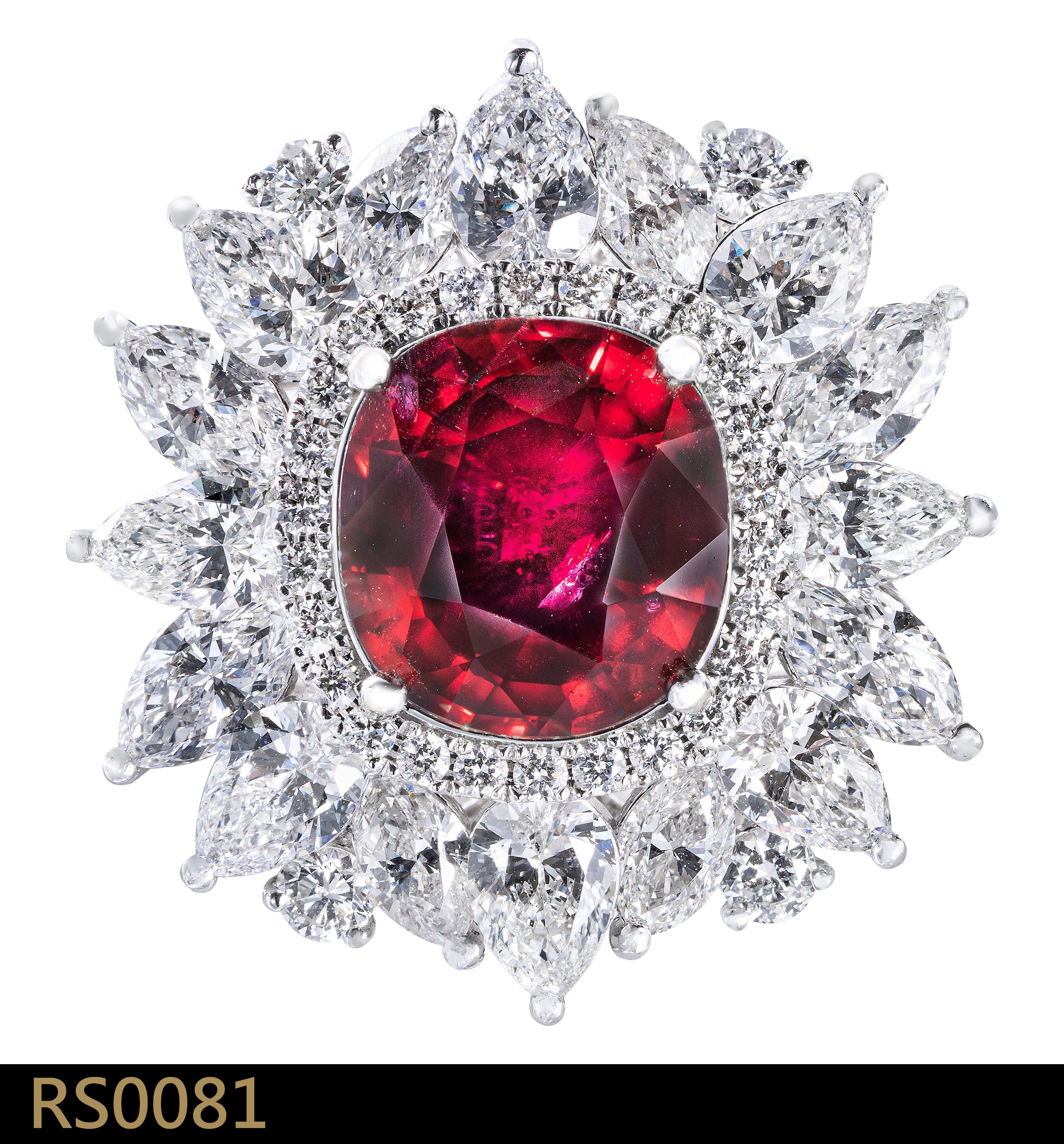 RS0081