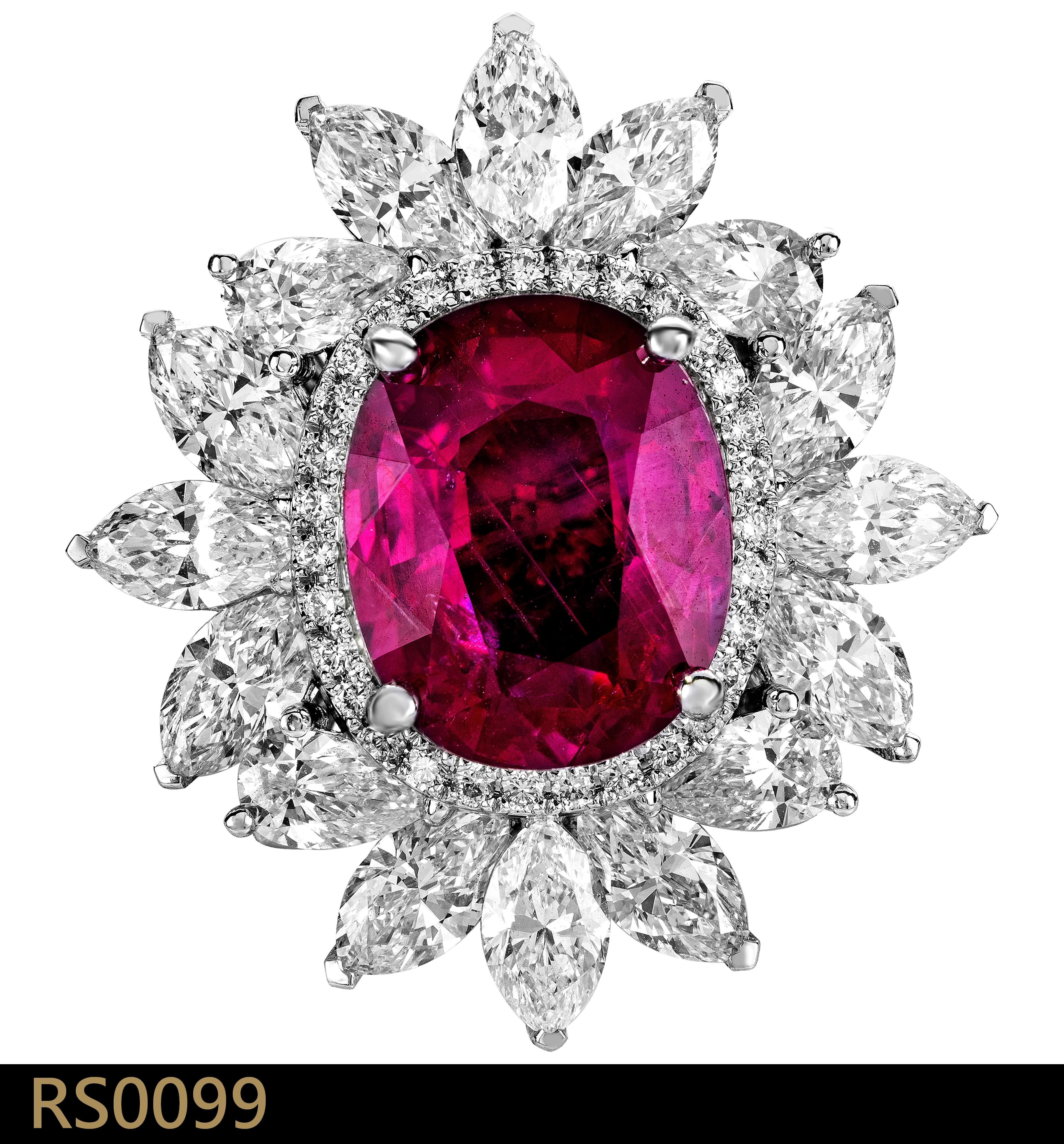 RS0099