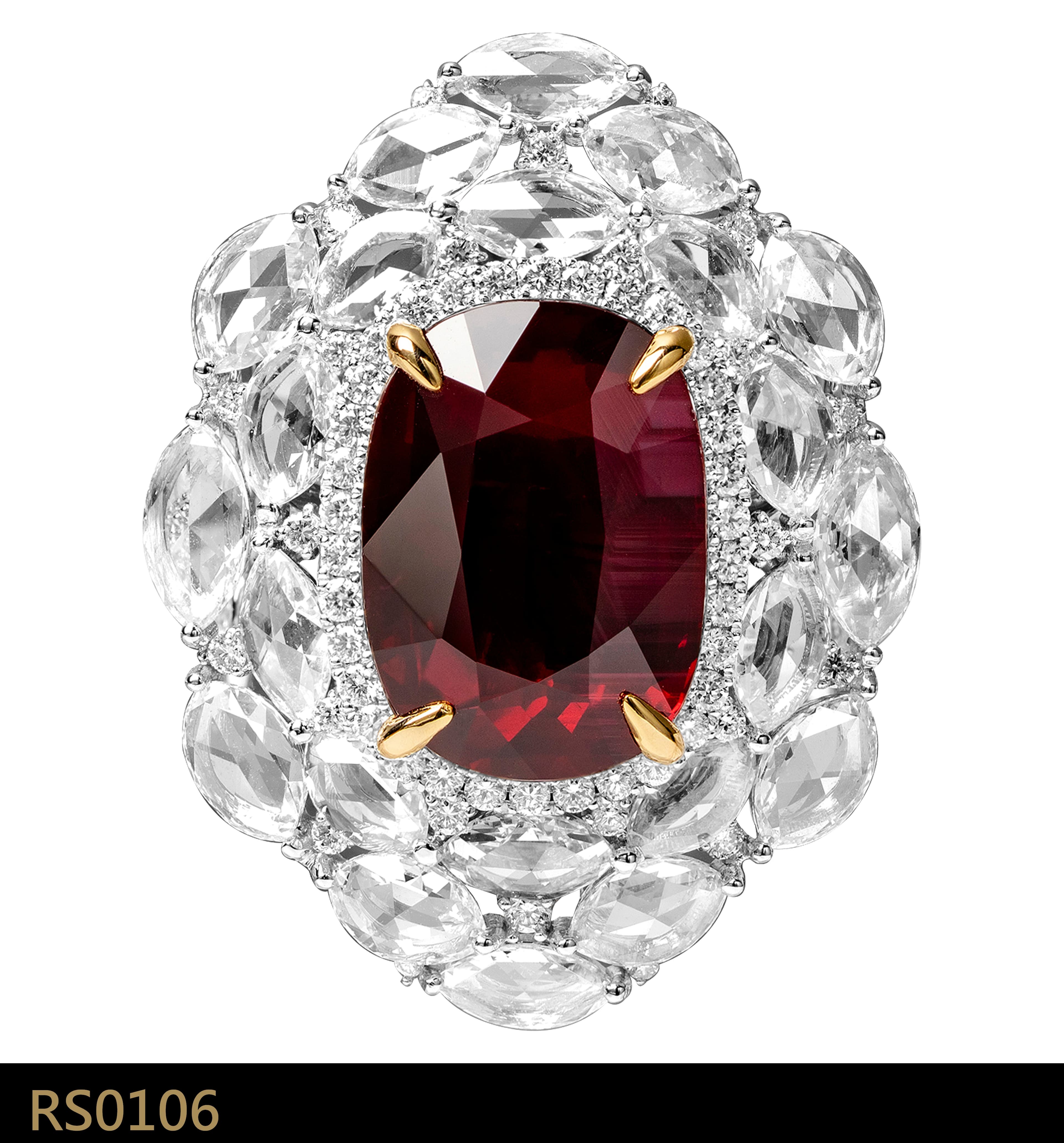 RS0106