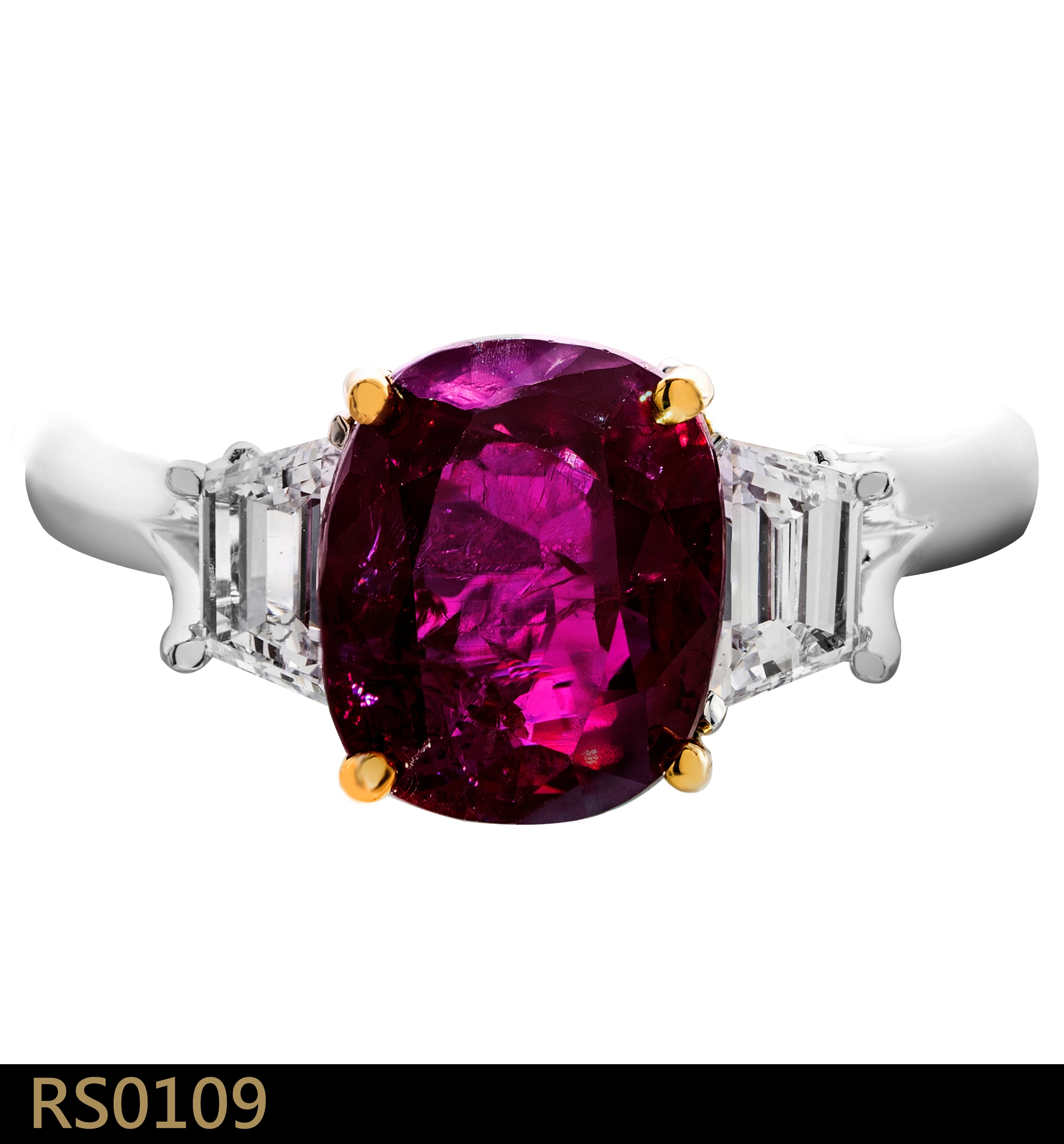 RS0109