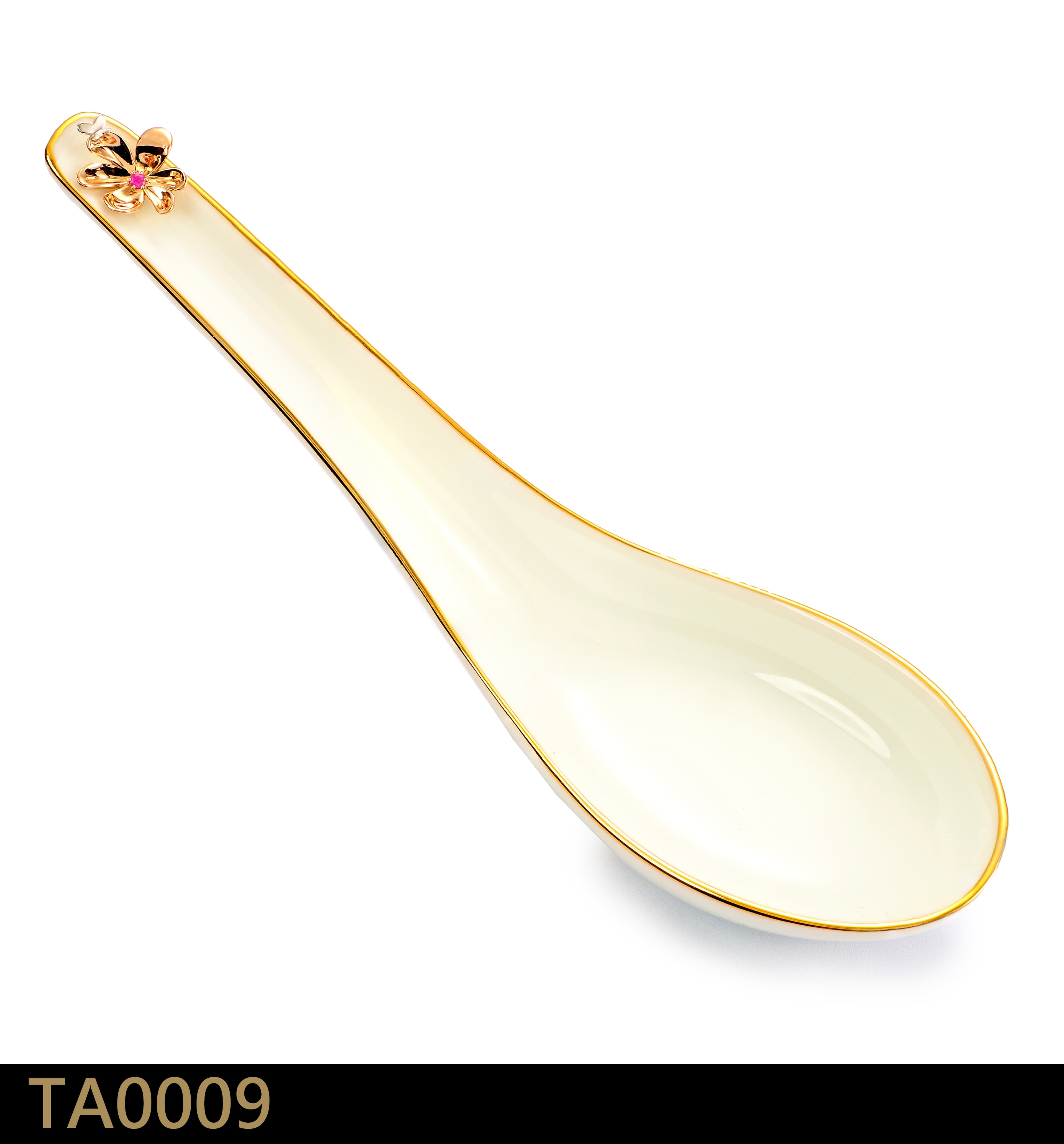 TA0009